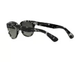 Ray-Ban Orion Slnečné okuliare RB 2199 1333/71