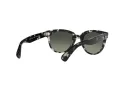 Ray-Ban Orion Slnečné okuliare RB 2199 1333/71