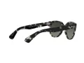 Ray-Ban Orion Slnečné okuliare RB 2199 1333/71
