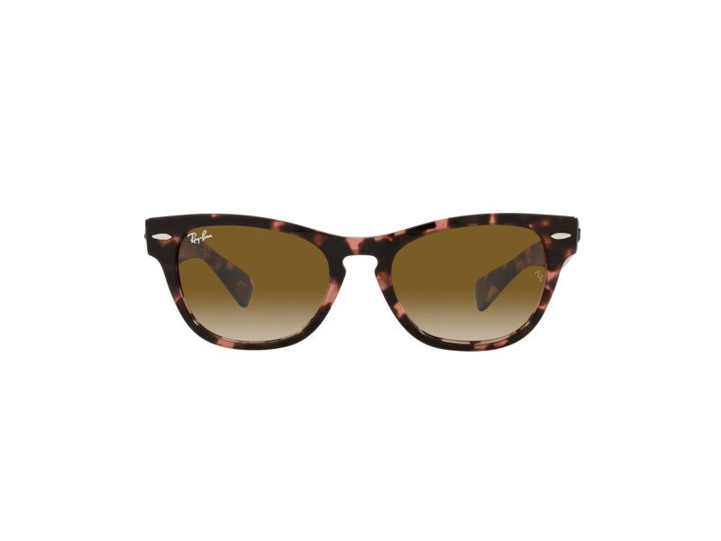 Ray-Ban Laramie Slnečné okuliare RB 2201 1334/51