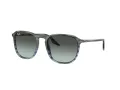 Ray-Ban Slnečné okuliare RB 0RB2203 1391GK