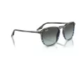 Ray-Ban Slnečné okuliare RB 0RB2203 1391GK