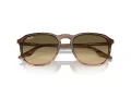 Ray-Ban Slnečné okuliare RB 0RB2203 13920A