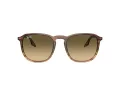 Ray-Ban Slnečné okuliare RB 0RB2203 13920A
