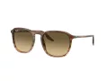Ray-Ban Slnečné okuliare RB 0RB2203 13920A