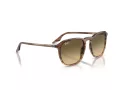 Ray-Ban Slnečné okuliare RB 0RB2203 13920A