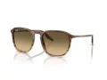 Ray-Ban Slnečné okuliare RB 0RB2203 13920A