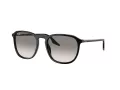 Ray-Ban Slnečné okuliare RB 0RB2203 901/32