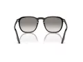 Ray-Ban Slnečné okuliare RB 0RB2203 901/32