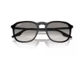 Ray-Ban Slnečné okuliare RB 0RB2203 901/32