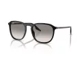 Ray-Ban Slnečné okuliare RB 0RB2203 901/32