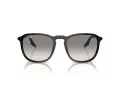 Ray-Ban Slnečné okuliare RB 0RB2203 901/32