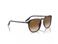 Ray-Ban Slnečné okuliare RB 0RB2203 902/51