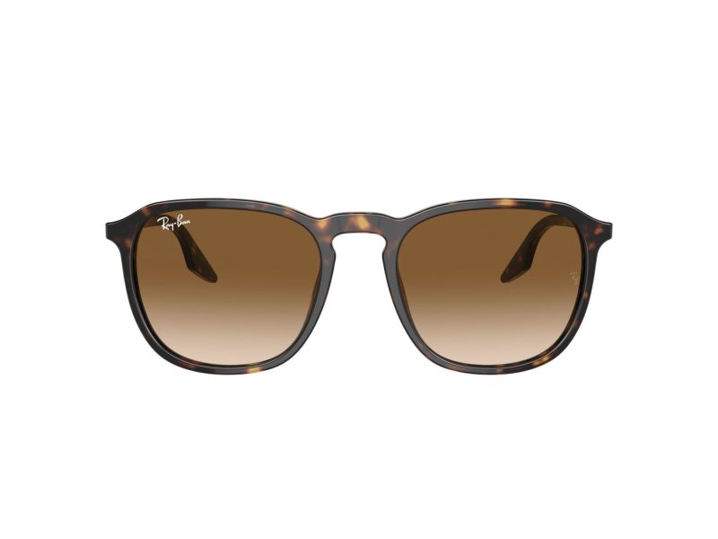 Ray-Ban Slnečné okuliare RB 0RB2203 902/51