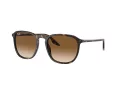 Ray-Ban Slnečné okuliare RB 0RB2203 902/51