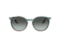 Ray-Ban Slnečné okuliare RB 0RB2204 1394GK