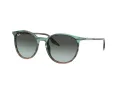 Ray-Ban Slnečné okuliare RB 0RB2204 1394GK