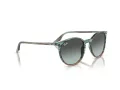 Ray-Ban Slnečné okuliare RB 0RB2204 1394GK