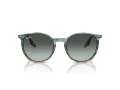 Ray-Ban Slnečné okuliare RB 0RB2204 1394GK