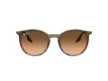 Ray-Ban Slnečné okuliare RB 0RB2204 13953B