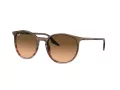 Ray-Ban Slnečné okuliare RB 0RB2204 13953B