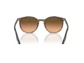 Ray-Ban Slnečné okuliare RB 0RB2204 13953B