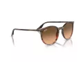Ray-Ban Slnečné okuliare RB 0RB2204 13953B