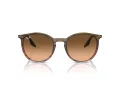 Ray-Ban Slnečné okuliare RB 0RB2204 13953B