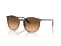 Ray-Ban Slnečné okuliare RB 0RB2204 13953B