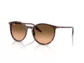 Ray-Ban Slnečné okuliare RB 2204 14293B