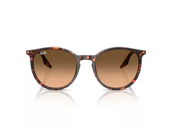 Ray-Ban Slnečné okuliare RB 2204 14293B