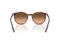Ray-Ban Slnečné okuliare RB 2204 14293B