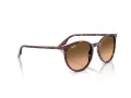 Ray-Ban Slnečné okuliare RB 2204 14293B