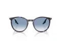 Ray-Ban Slnečné okuliare RB 2204 14303F