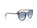 Ray-Ban Slnečné okuliare RB 2204 14303F
