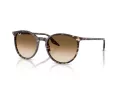 Ray-Ban Slnečné okuliare RB 2204 143151