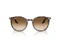 Ray-Ban Slnečné okuliare RB 2204 143151