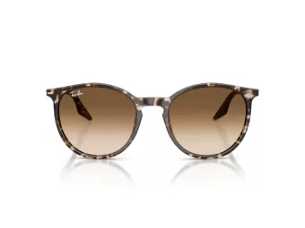 Ray-Ban Slnečné okuliare RB 2204 143151