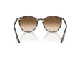 Ray-Ban Slnečné okuliare RB 2204 143151