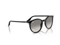 Ray-Ban Slnečné okuliare RB 0RB2204 901/32