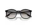 Ray-Ban Slnečné okuliare RB 0RB2204 901/32