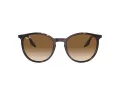 Ray-Ban Slnečné okuliare RB 0RB2204 902/51