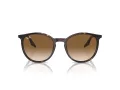 Ray-Ban Slnečné okuliare RB 0RB2204 902/51