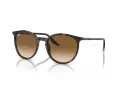 Ray-Ban Slnečné okuliare RB 0RB2204 902/51