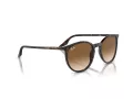 Ray-Ban Slnečné okuliare RB 0RB2204 902/51