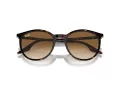 Ray-Ban Slnečné okuliare RB 0RB2204 902/51