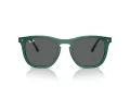 Ray-Ban Slnečné okuliare RB 2210 6615B1