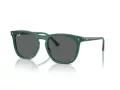 Ray-Ban Slnečné okuliare RB 2210 6615B1