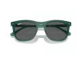 Ray-Ban Slnečné okuliare RB 2210 6615B1