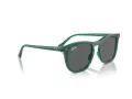 Ray-Ban Slnečné okuliare RB 2210 6615B1